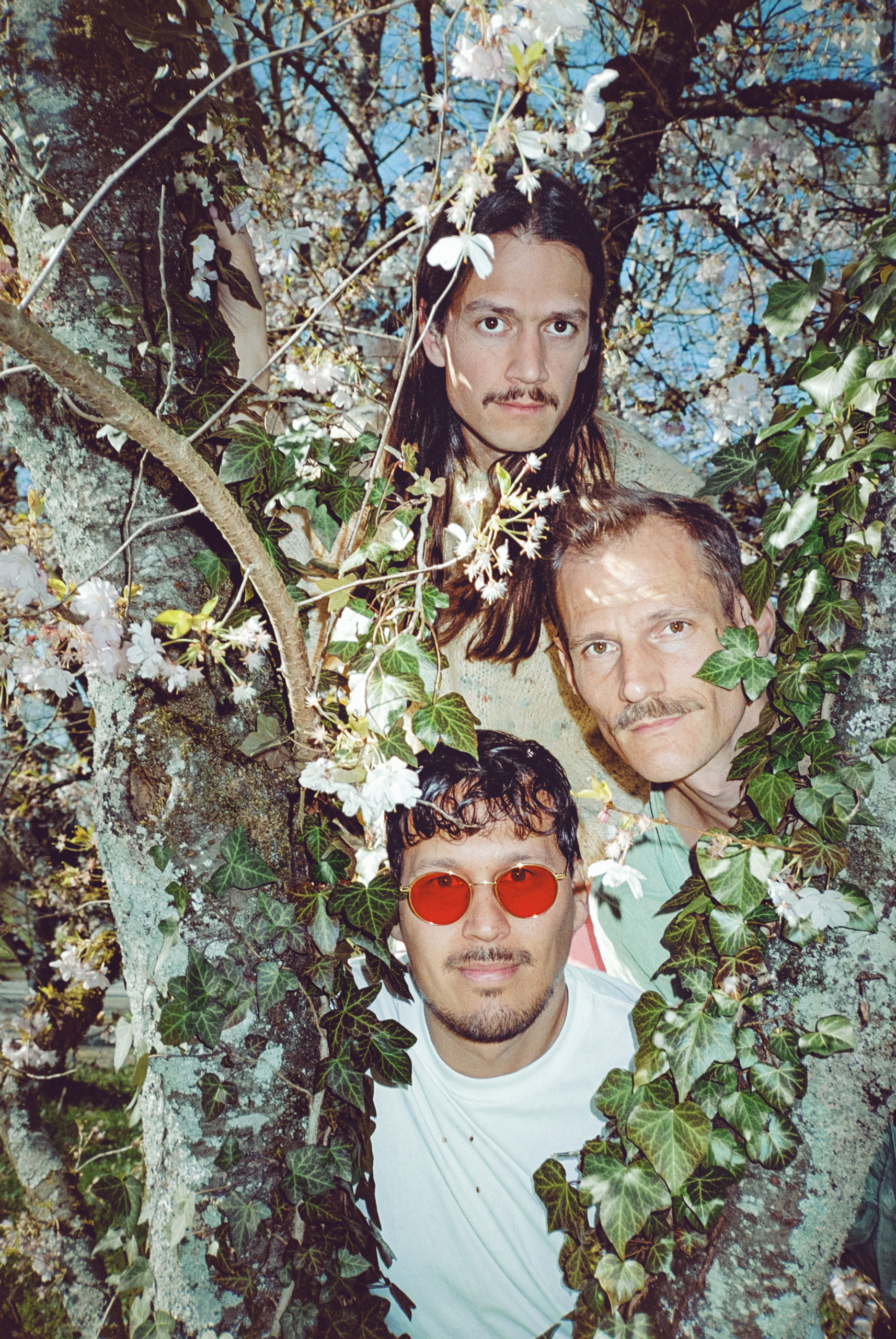 , Dandelion Honey for the Ears: L&ouml;wenzahnhonig Talks Blossoms, Horizons, and Their New Album, Liminul Magazine