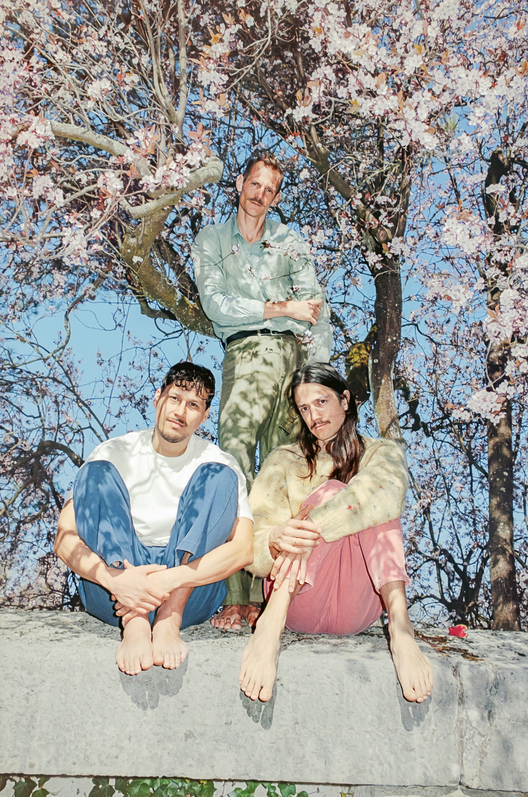 , Dandelion Honey for the Ears: L&ouml;wenzahnhonig Talks Blossoms, Horizons, and Their New Album, Liminul Magazine