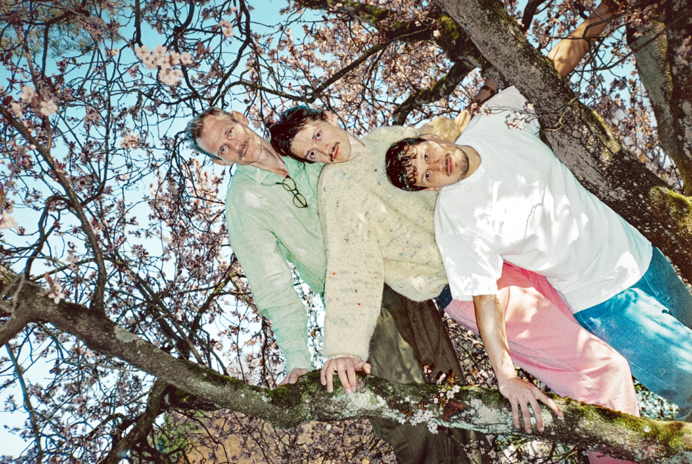 , Dandelion Honey for the Ears: L&ouml;wenzahnhonig Talks Blossoms, Horizons, and Their New Album, Liminul Magazine