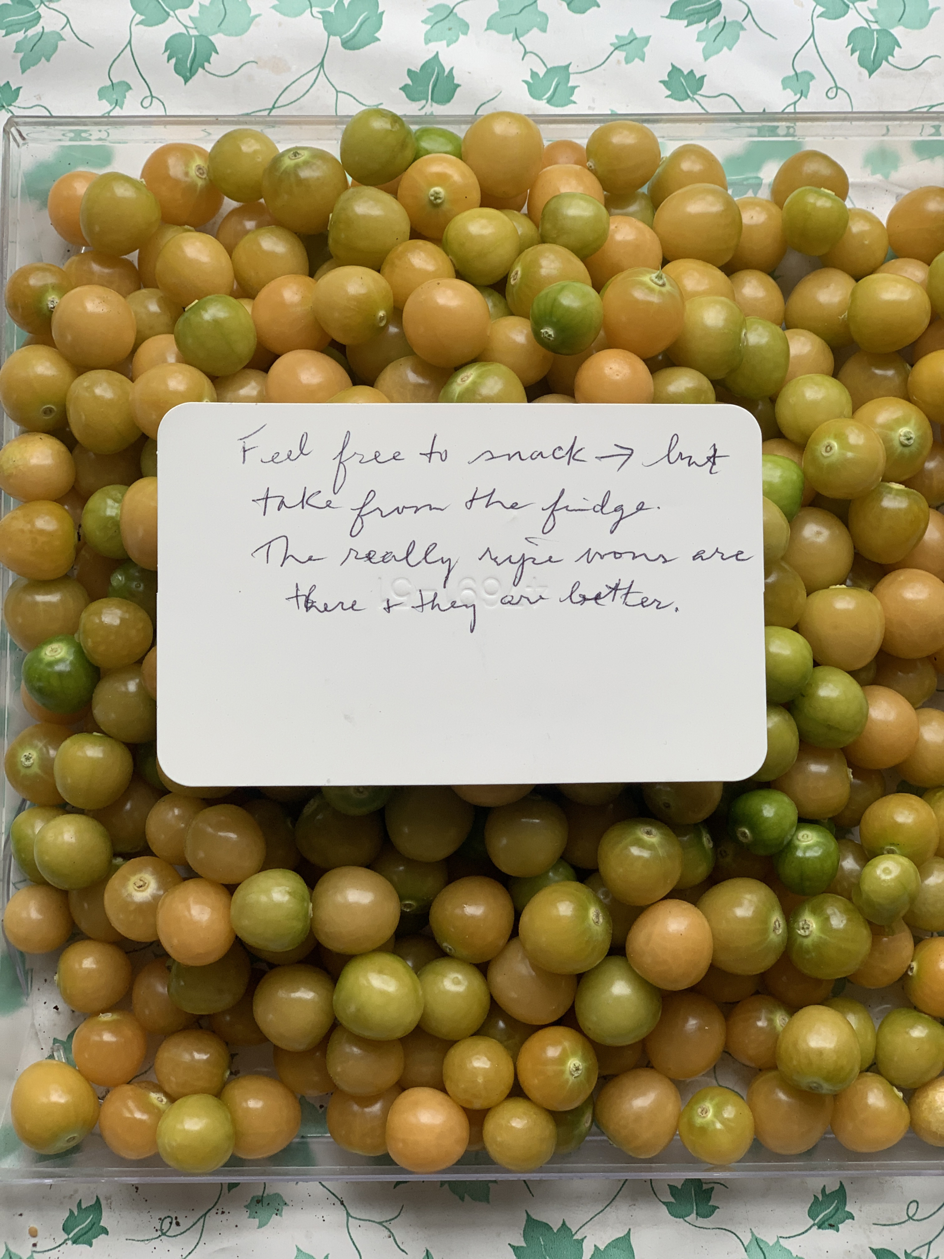 Agatha&rsquo;s Almanac, Learning How to Pass the Time from Agatha&rsquo;s Almanac, Liminul Magazine